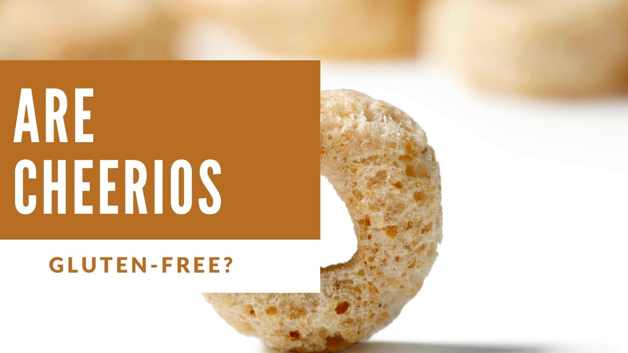 are cheerios gluten free